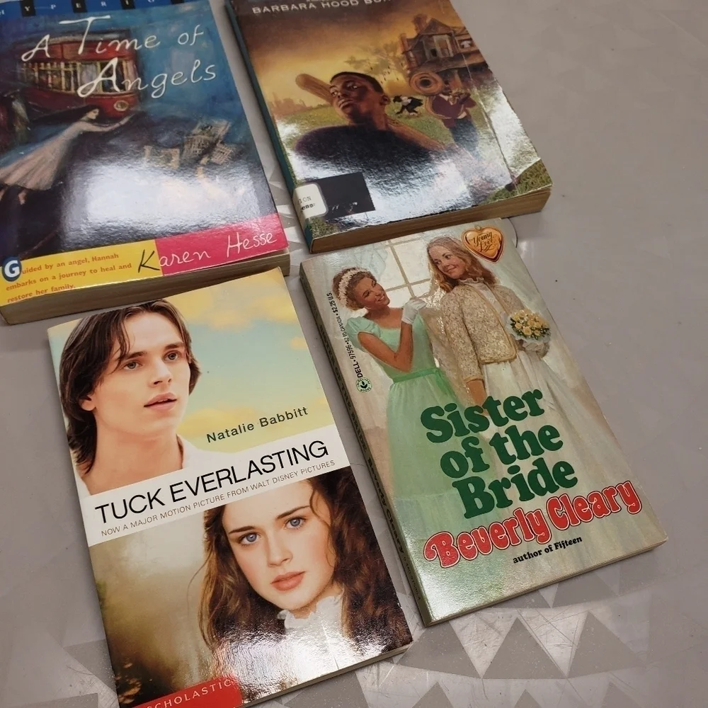 kids/ preteen chapter book bundle of 4